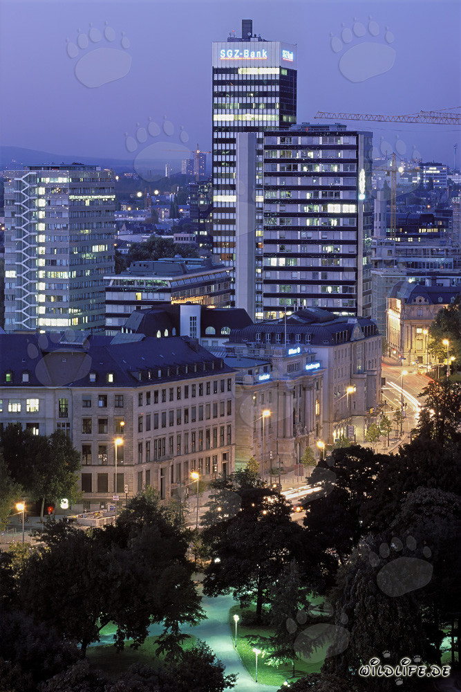 Francfort de nuit - impressionnante skyline de la métropole financière