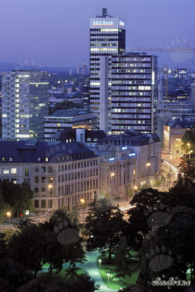Francoforte di notte - suggestiva skyline della metropoli finanziaria