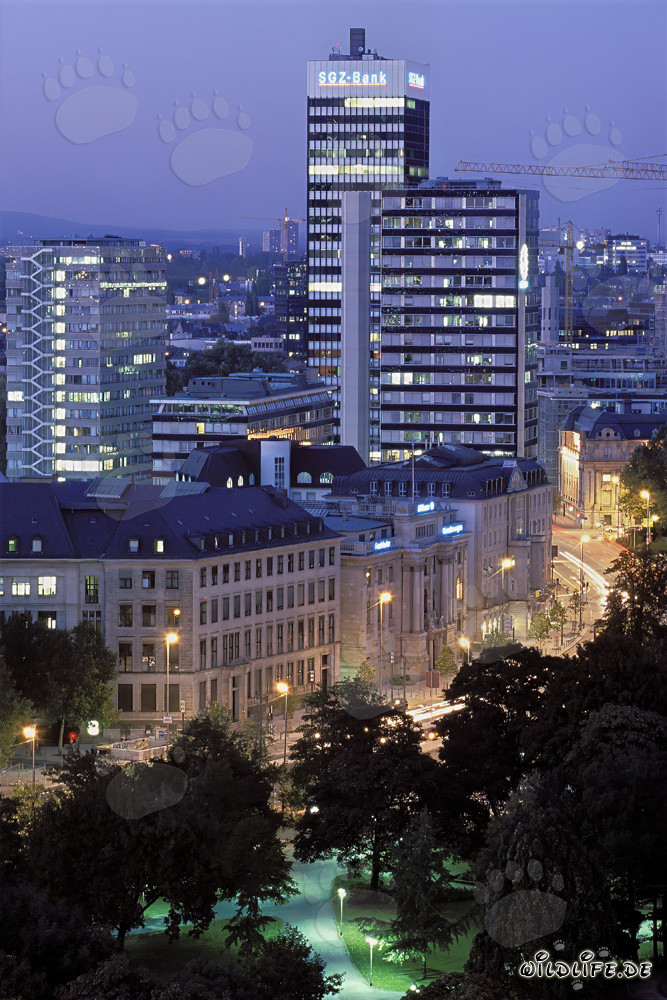 Frankfurt bei Nacht - eindrucksvolle Skyline der Finanzmetropole