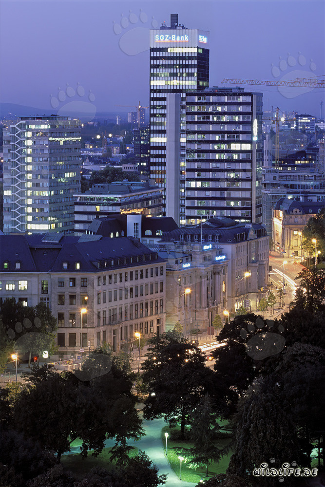 Frankfurt de noche - impresionante skyline de la metrópoli financiera