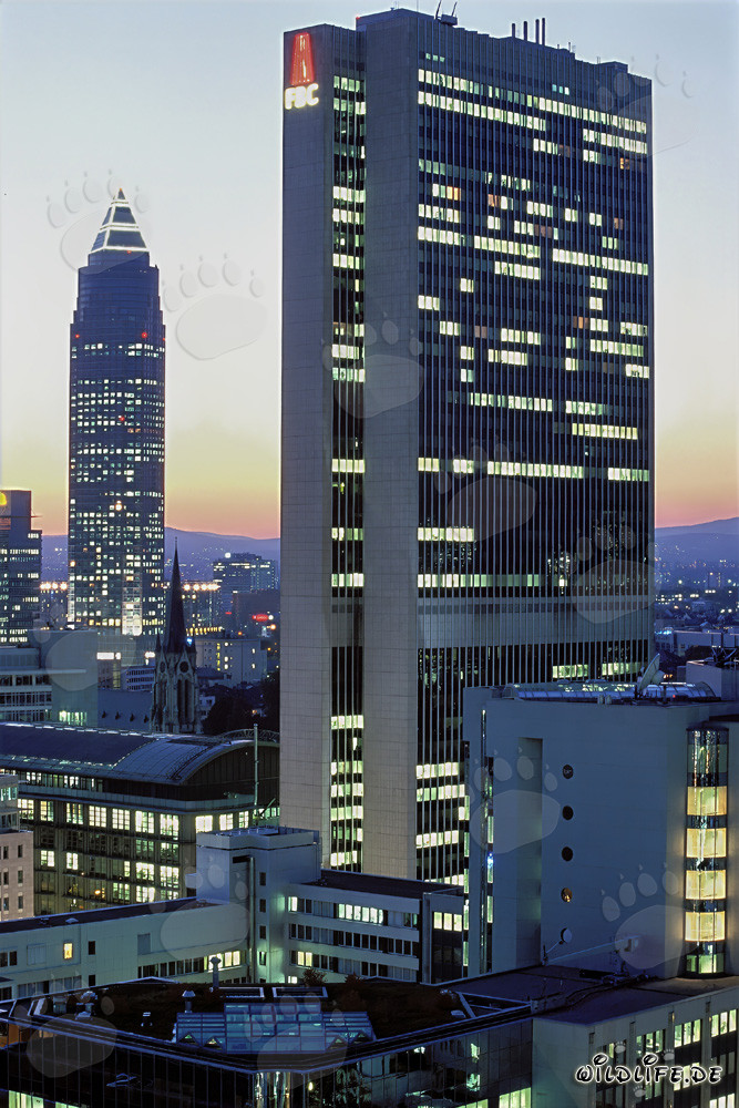 Fascinante skyline de Frankfurt de noche