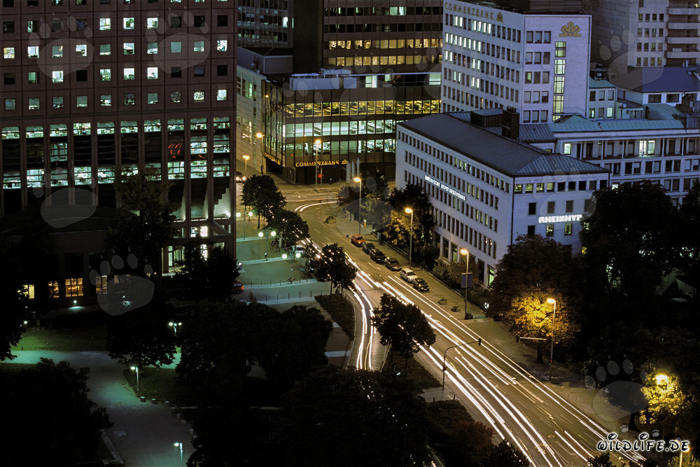 Impressions of Frankfurt at Night