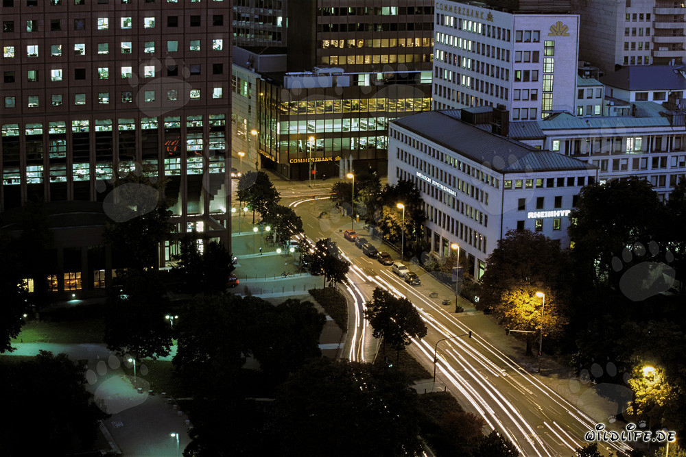 Impressionen von Frankfurt bei Nacht