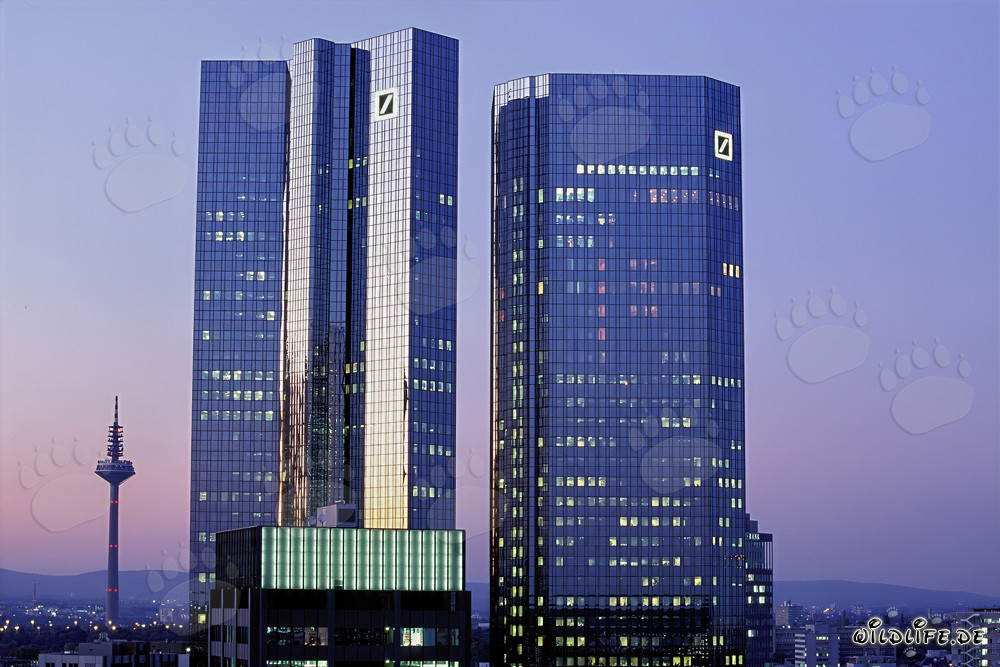 Impressionanti torri gemelle della Deutsche Bank nell'ultima luce del giorno