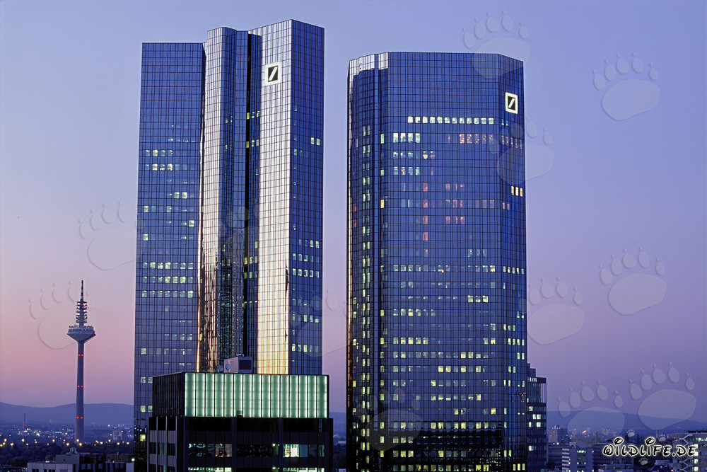 Beeindruckende Deutsche Bank Zwillingstürme im letzten Tageslicht