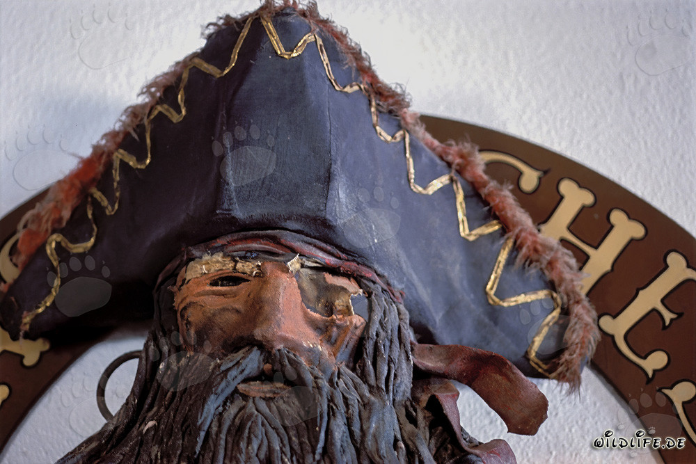 Portrait de pirate à Walker's Cay, Bahamas