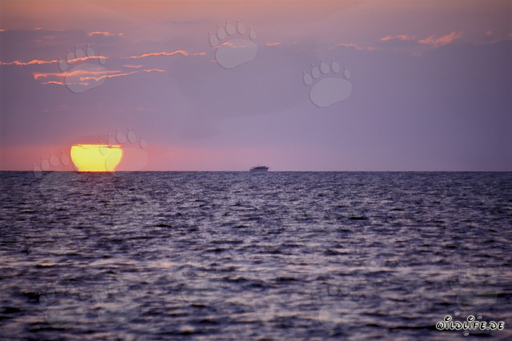 Atardecer romántico en Walker's Cay