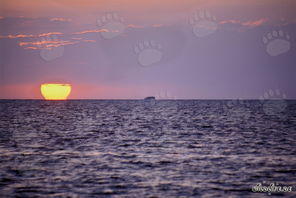 Romantischer Sonnenuntergang auf Walker's Cay