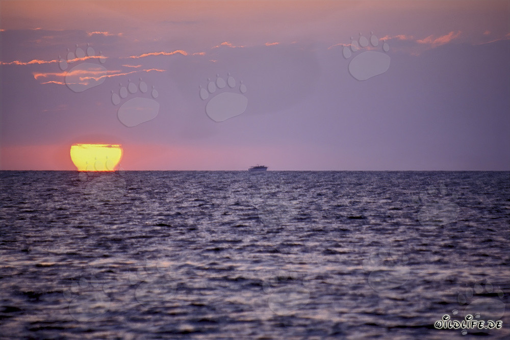 Romantic Sunset on Walker's Cay