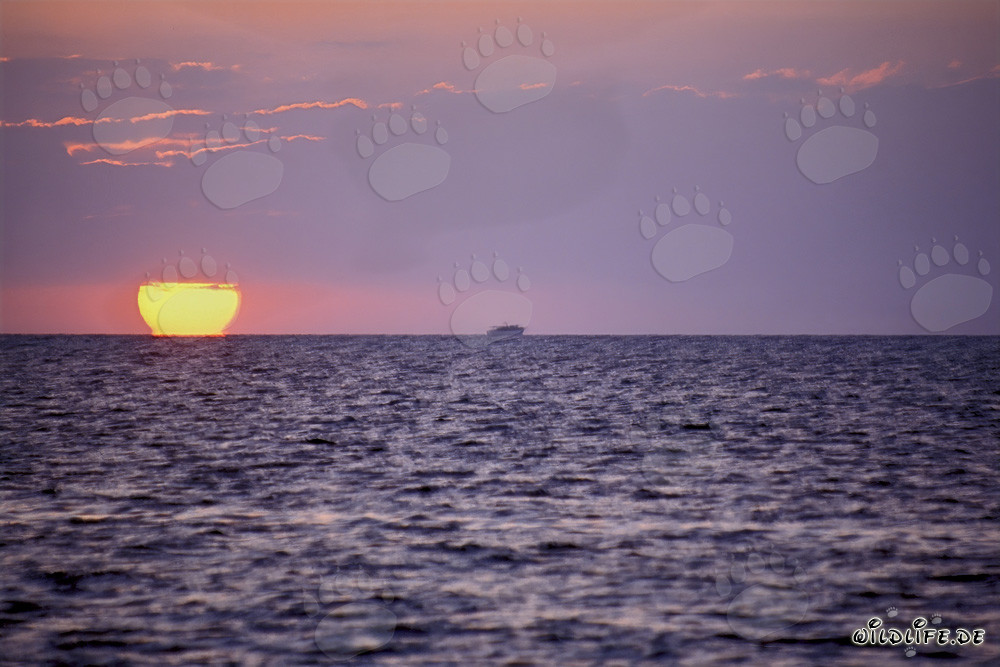 Tramonto romantico a Walker's Cay