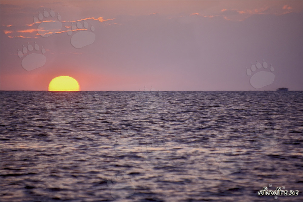 Coucher de soleil romantique devant Walker's Cay aux Bahamas