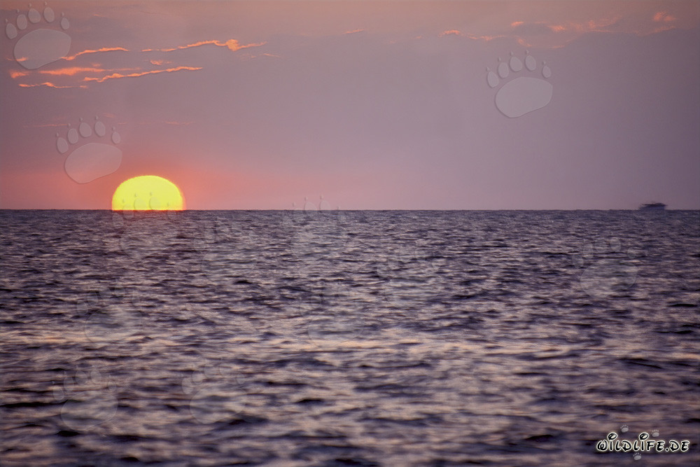 Romántica puesta de sol frente a Walker's Cay en las Bahamas
