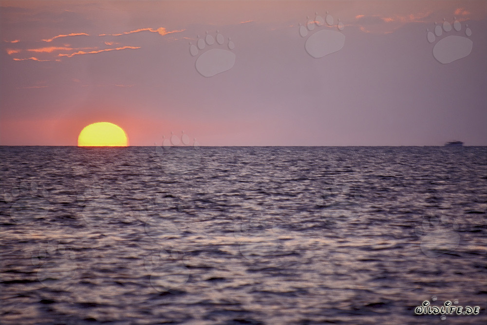 Romantischer Sonnenuntergang vor Walker's Cay auf den Bahamas