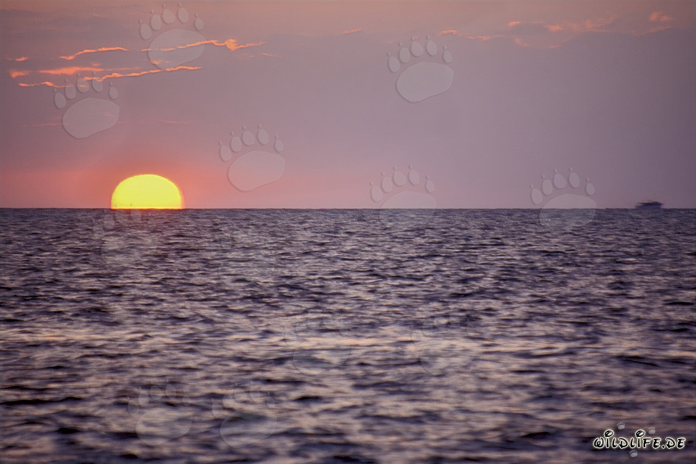 Romantic Sunset in front of Walker's Cay in the Bahamas