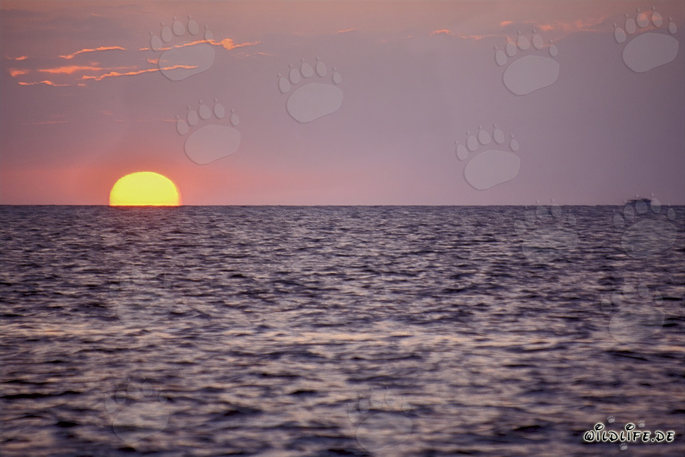 Romantico tramonto di fronte a Walker's Cay nelle Bahamas