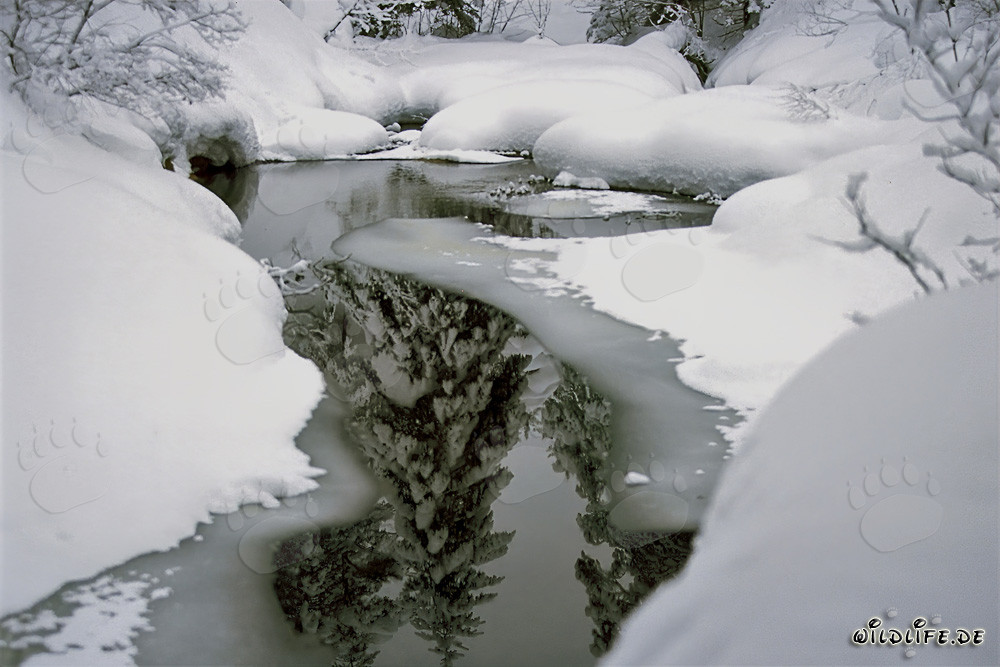 Idyllic Winter Creek in Mittenwald, Bavaria, Germany