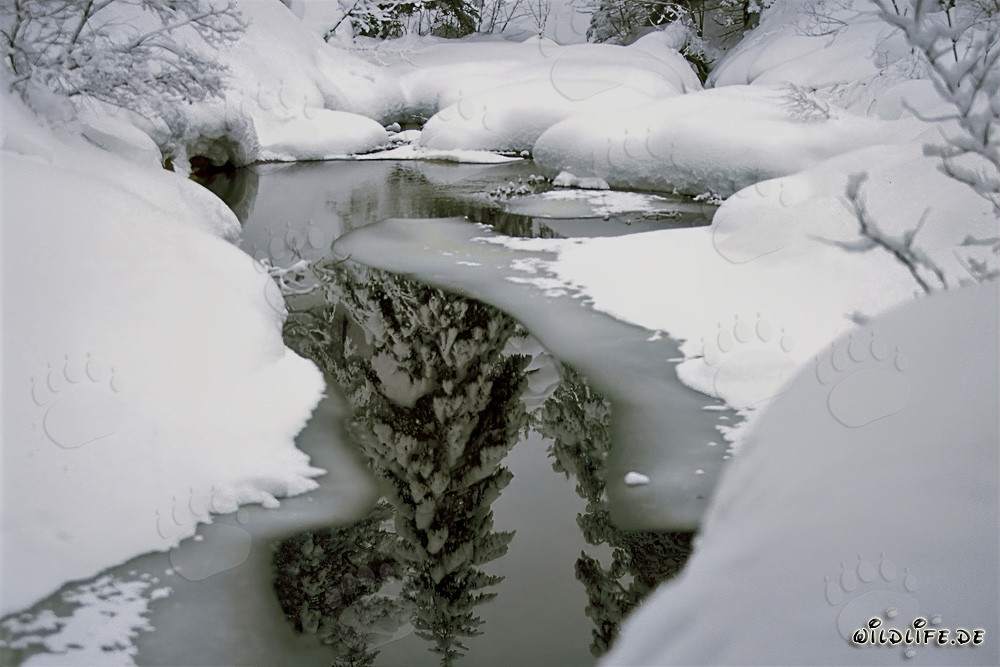 Idyllischer Winterbach in Mittenwald, Bayern, Deutschland