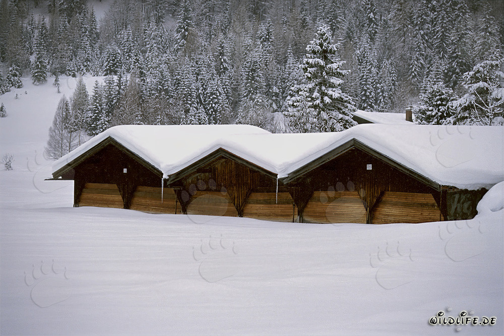 Idyllic winter landscape with snow-covered hay barn in Bavaria
