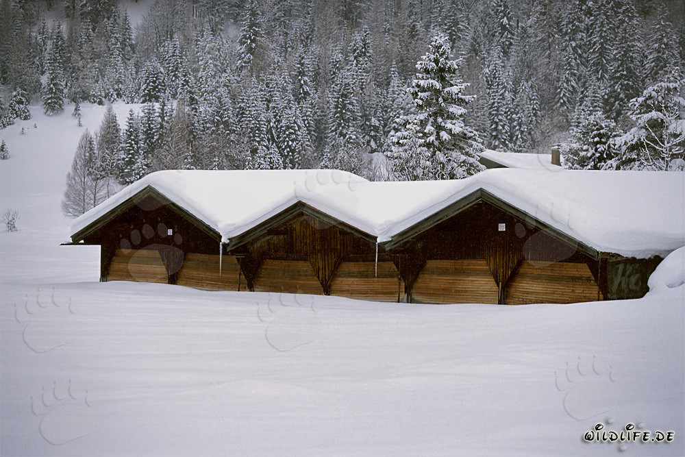 Idyllische Winterlandschaft mit verschneiter Heuscheune in Bayern