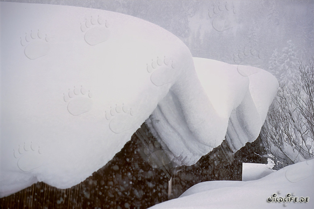 Paesaggio invernale idilliaco con fienile innevato in Baviera