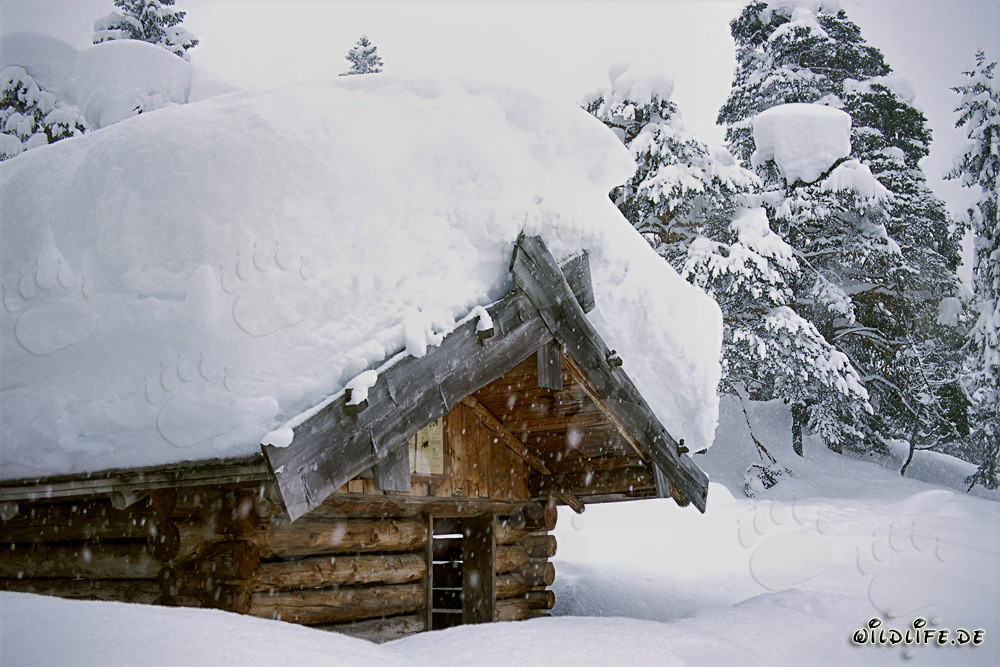 Idyllic weather shelter in wintry Bavaria