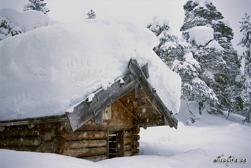 Idyllische Wetterschutzhütte im winterlichen Bayern