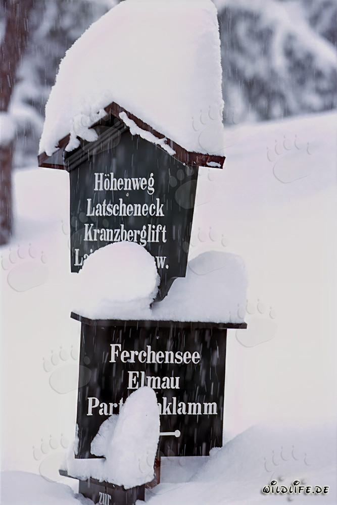 Señalización nevada idílica en el bosque invernal de Mittenwald, Baviera