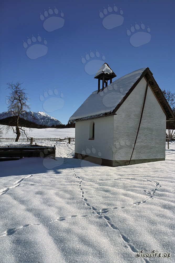 Capilla romántica cubierta de nieve en Baviera en invierno
