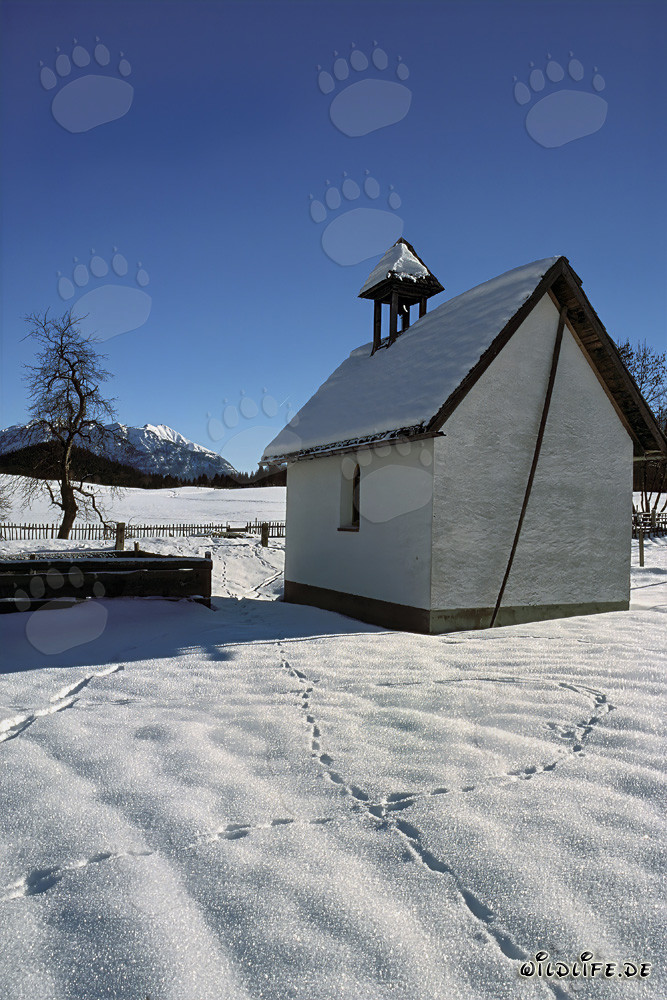 Chapelle romantique enneigée en Bavière en hiver