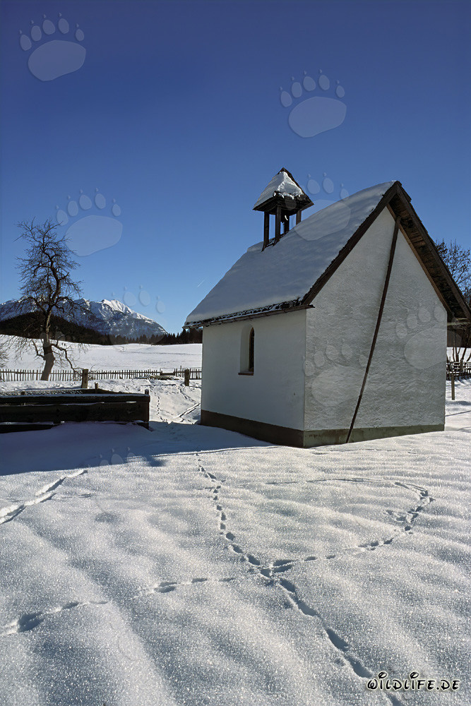 Chiesetta romantica innevata in Baviera in inverno