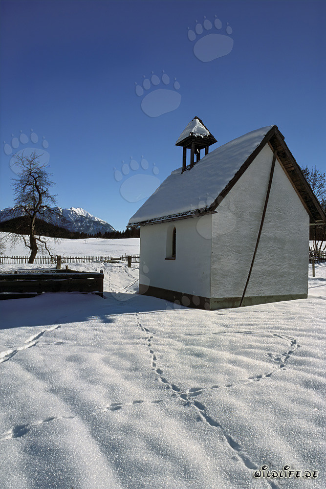 Romantic snow-covered chapel in Bavaria in winter