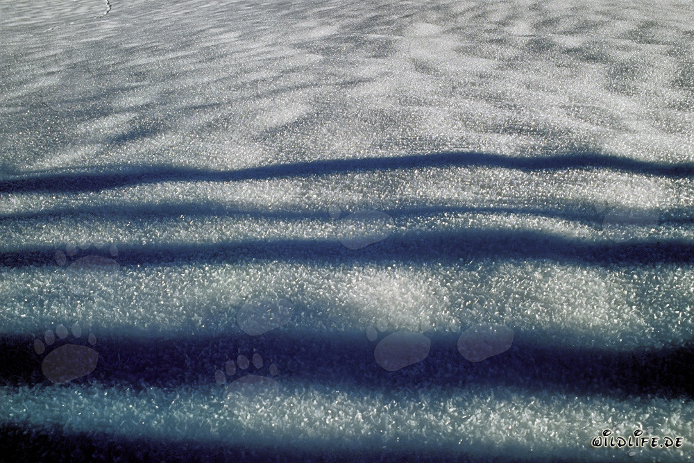 Paesaggio invernale con neve in Baviera, Germania