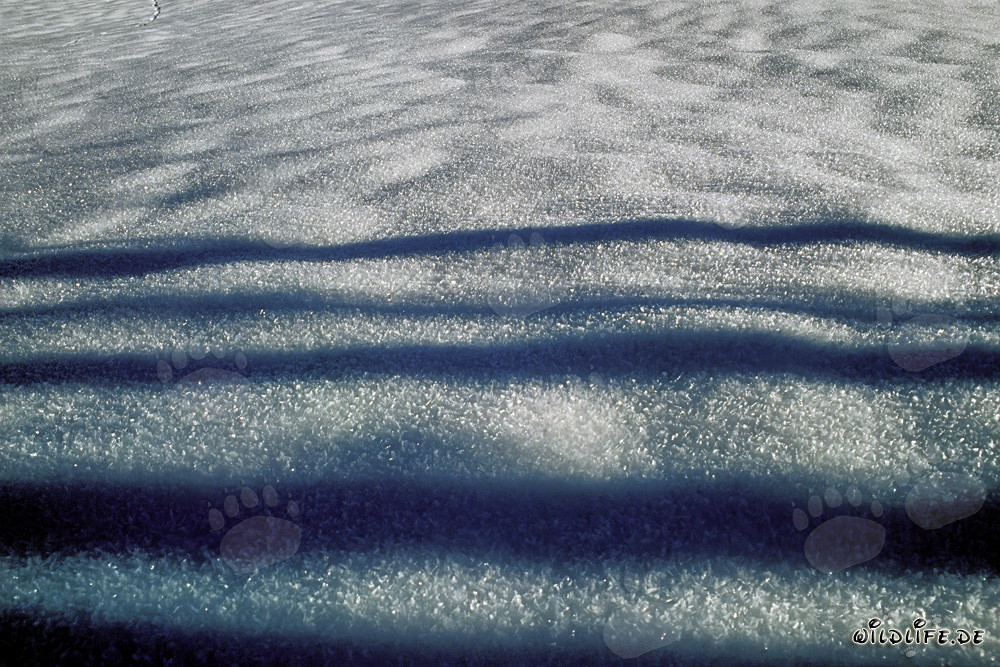 Paysage d'hiver enneigé en Bavière, Allemagne
