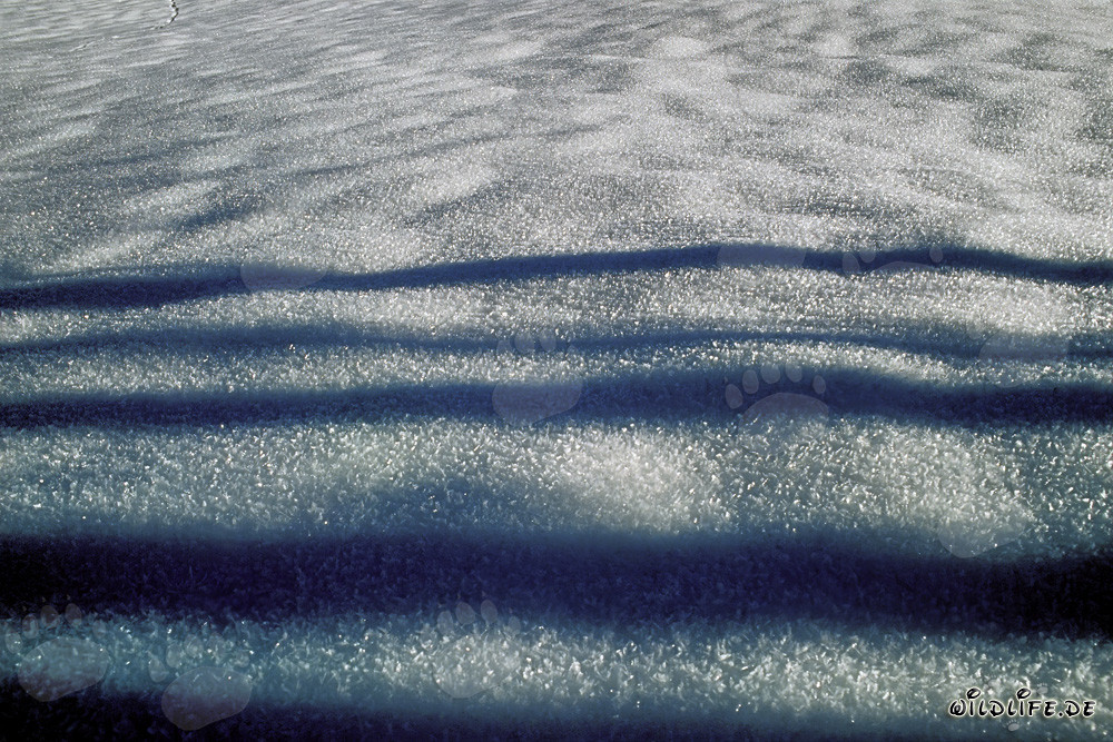 Winter landscape with snow in Bavaria, Germany