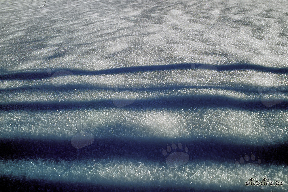 Winterlandschaft mit Schnee in Bayern, Deutschland
