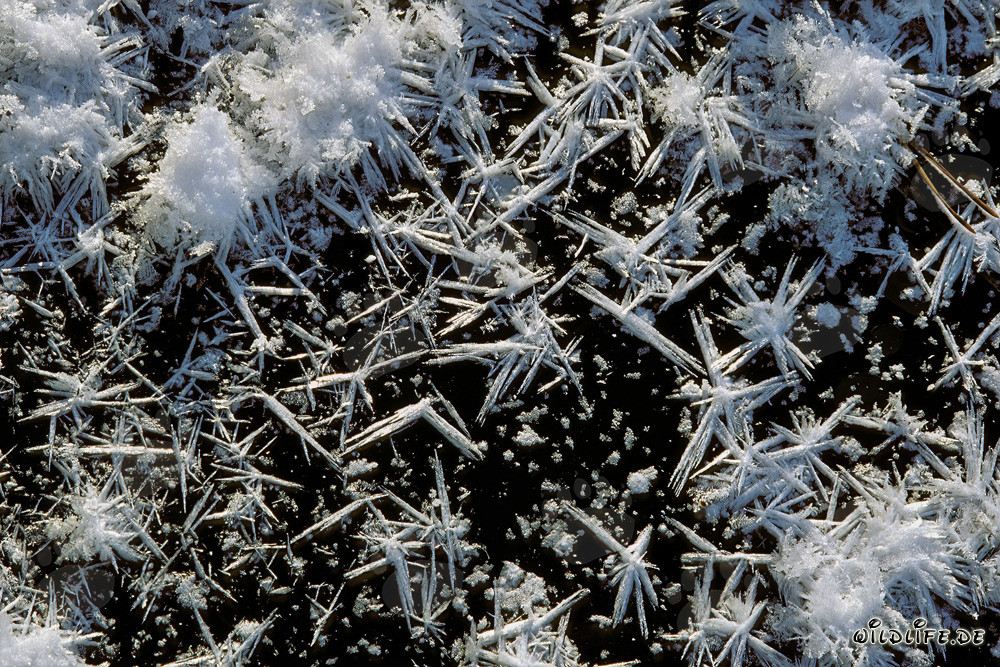 Winter landscape in the picturesque high moor of Bavaria