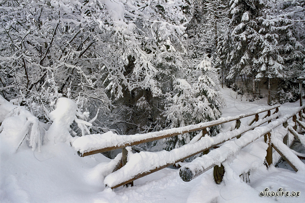 Romantico ponte innevato a Mittenwald, Baviera