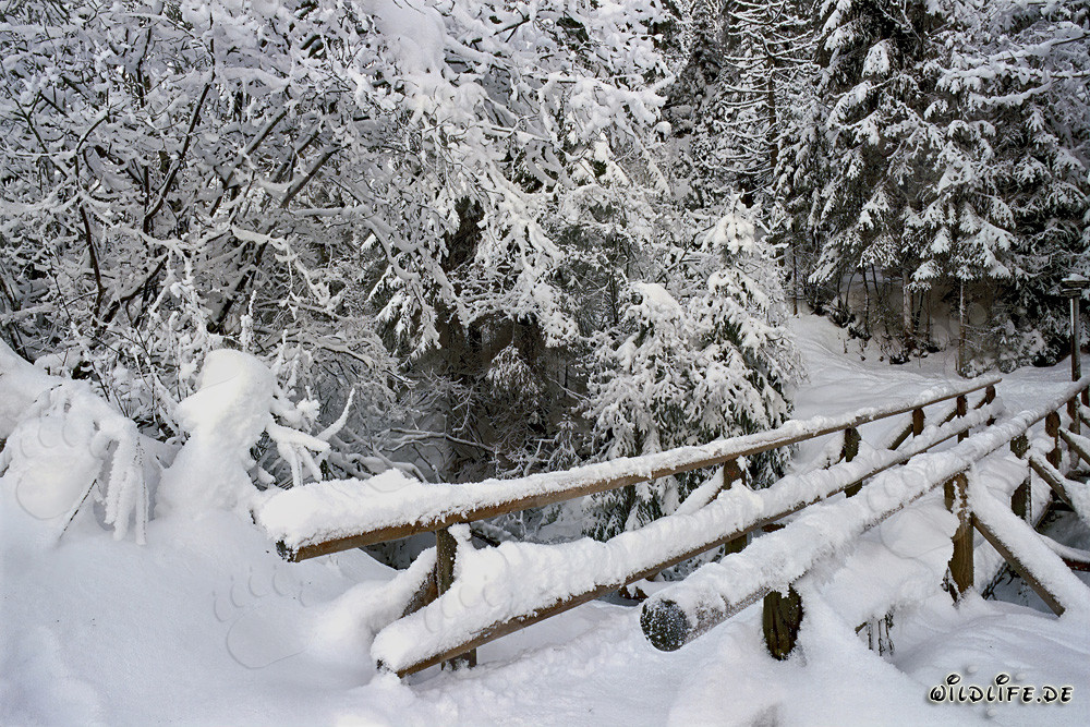 Romantic snow-covered brook bridge in Mittenwald, Bavaria