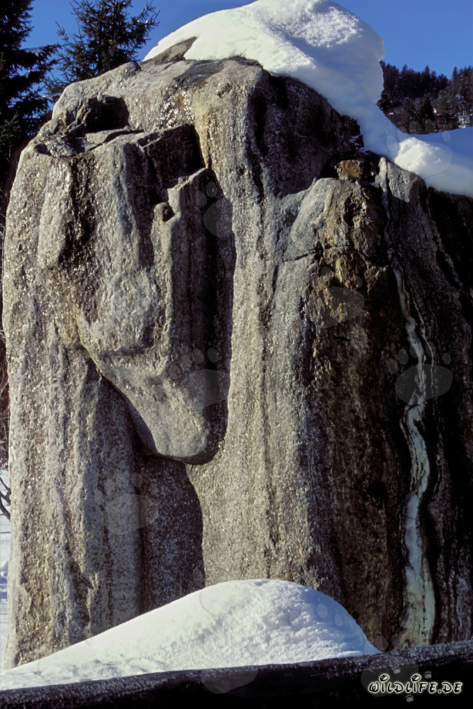 Paysage d'hiver idyllique : Rochers enneigés dans les Alpes bavaroises