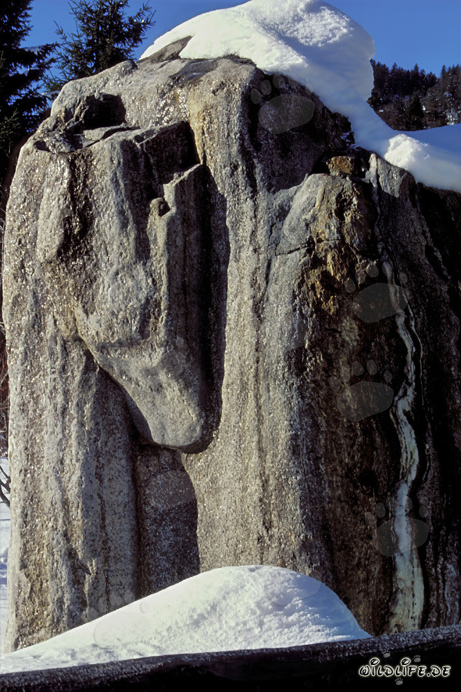 Idyllic Winter Landscape: Snow-Covered Rocks in the Bavarian Alps