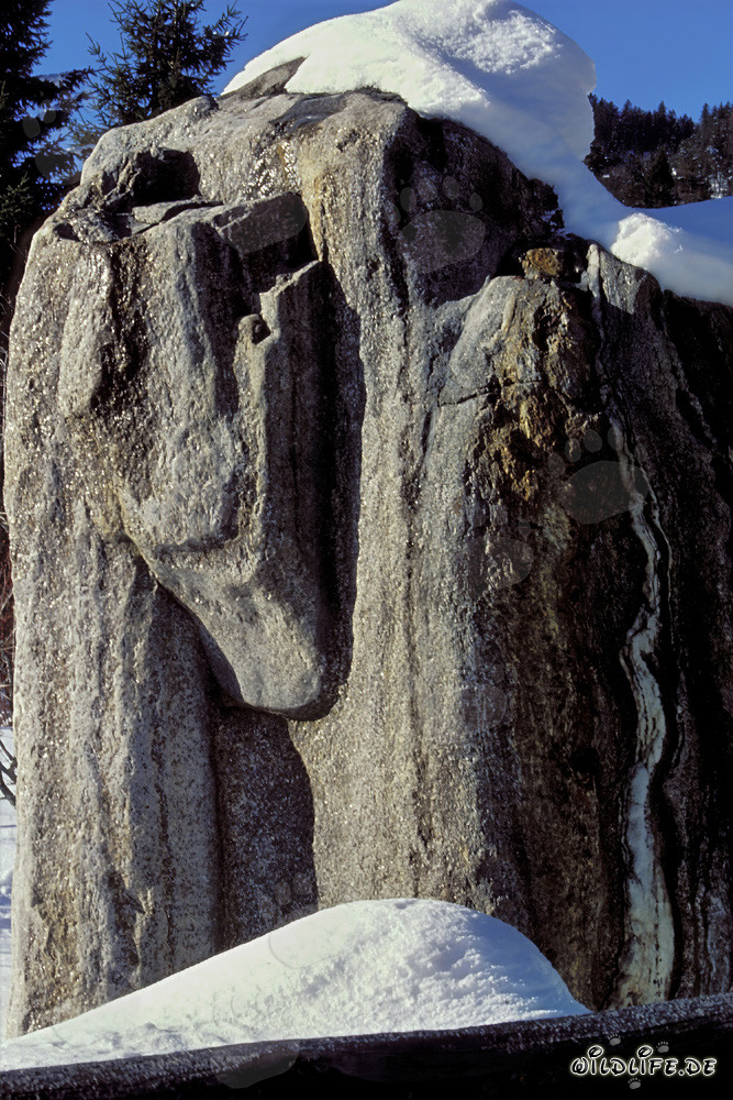 Idyllische Winterlandschaft: Verschneite Felsen in den bayerischen Alpen