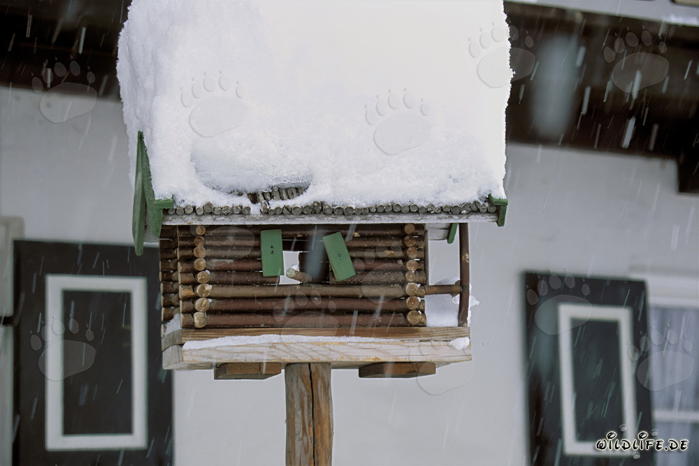 Idylle hivernale : Une maison d'oiseaux enneigée à Mittenwald, Bavière