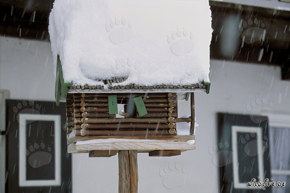 Winter Wonderland: A Snow-Covered Bird House in Mittenwald, Bavaria