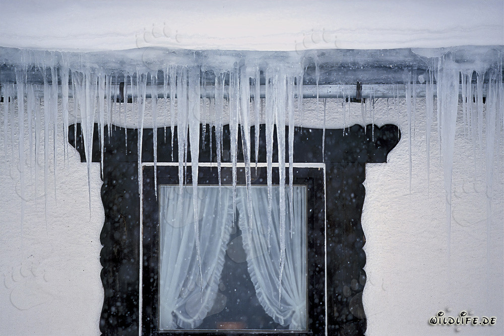 Fascinantes estalactitas de hielo en la ventana en Mittenwald, Baviera