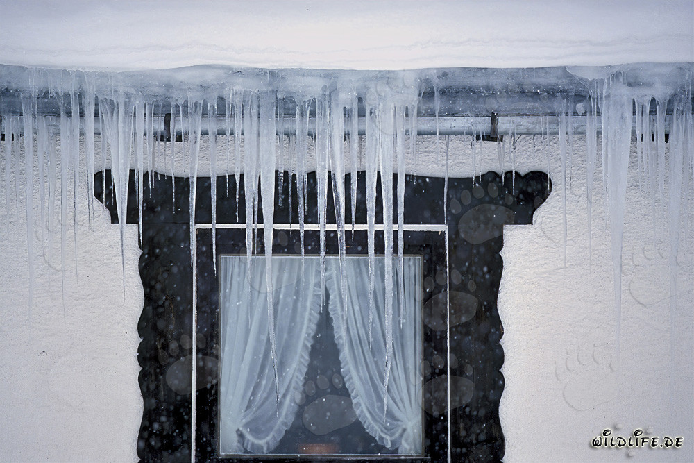 Fascinating Icicles at the Window in Mittenwald, Bavaria