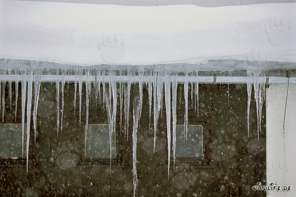 Icicles helados colgando del borde del techo