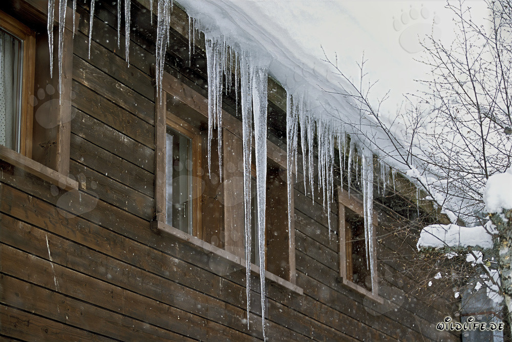 Frosty icicles on the roof glisten in the sun