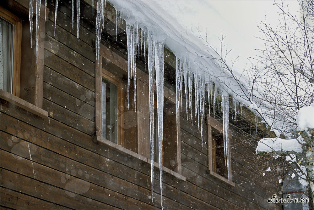 Icicles glacés sur le toit scintillant au soleil