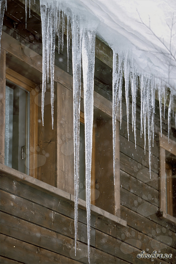 Schöne Eiszapfen am Dach in Mittenwald, Bayern