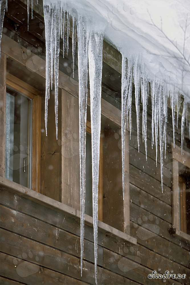 Beaux stalactites sur le toit à Mittenwald, Bavière